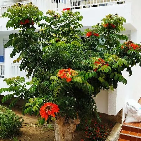 Апартаменты Club El Paradero Плая-де-лас-Америкас